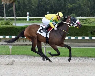 Gulfstream Park Thursday: Championship Meet Analaysis
