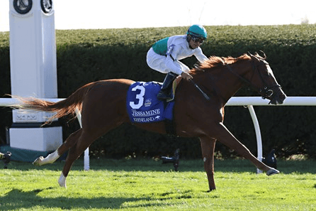 Gulfstream Park Saturday: Turf Stakes Analysis, Selections