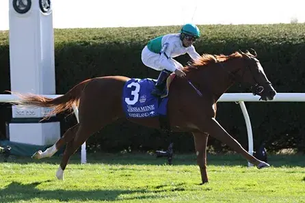 Gulfstream Park Saturday: Turf Stakes Analysis, Selections