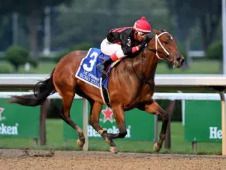 New Year’s Eve: Fair Grounds Pago Hop Analysis, Selections