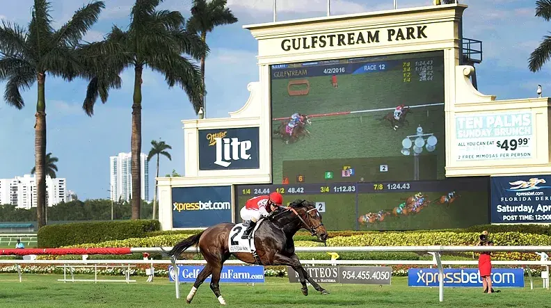 Gulfstream Park turf finish line