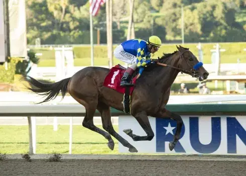 Santa Anita Saturday (1/28): San Pasqual Stakes Analysis