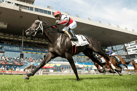 Gulfstream Park Saturday Preview: Ginger Brew Analysis cover