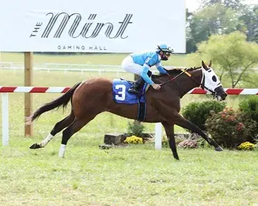 Gulfstream Park Saturday: Sunshine Stakes Horse Racing Analysis (1/14)