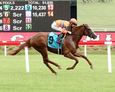 Fair Grounds Saturday: Nelson J. Menard Horse Racing Analysis cover