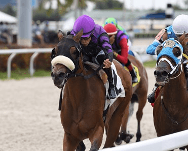 Turfway Park Saturday: Horse Racing Analysis (1/14) cover