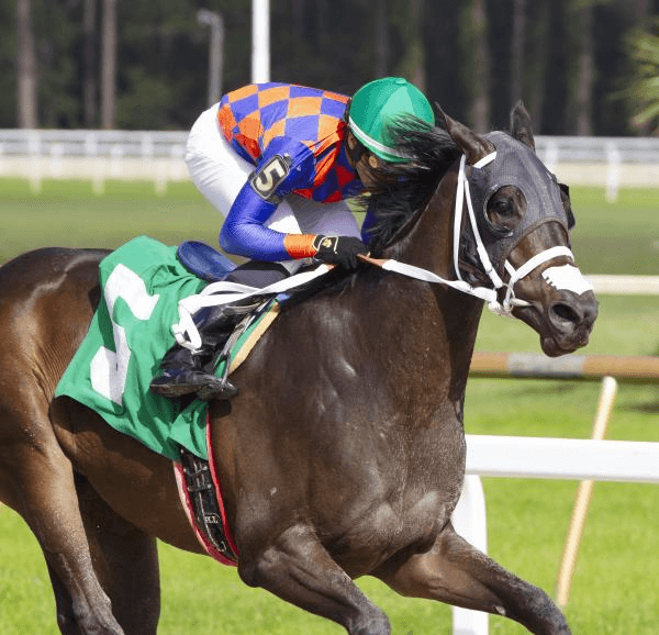 Tampa Bay Downs Saturday: Horse Racing Analysis (1/14) cover