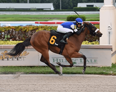 Tampa Bay Downs Offers Derby Points Saturday, Sam F. Davis Analysis