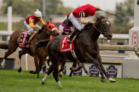 Santa Anita Sunday: San Marcos, Palos Verdes Stakes Analysis