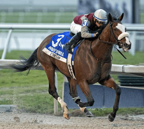 Gulfstream Park Saturday: Holy Bull Analysis, Selections