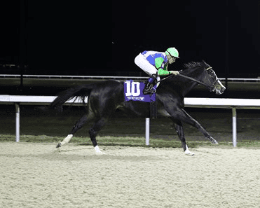 Turfway Park Saturday: Valdale Synthetic Stakes Analysis