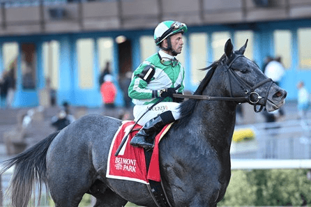 Aqueduct Saturday New York Kentucky Derby Trail Heats Up