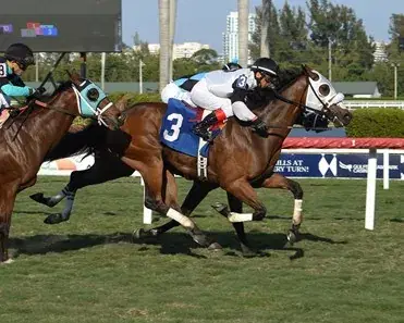 Gulfstream Park Saturday: Turf Sprints Analysis, Selections