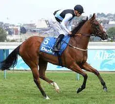 Santa Anita Saturday: Manhattan Jungle Sweet Life Favorite