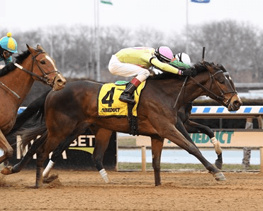 Aqueduct Saturday: Small Fields Haunt NYRA Winter Stakes cover