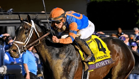 Gulfstream Park: Wednesday Full Card Selections, Analysis