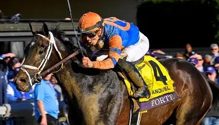 Gulfstream Park: Wednesday Full Card Selections, Analysis