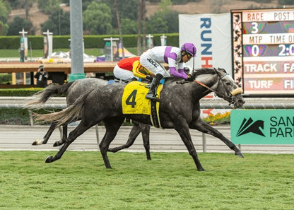 Santa Anita Saturday: Wishing Well Stakes Analysis, Selections