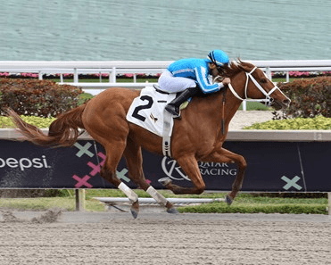 Gulfstream Park: Friday Racing Preceeds Kentucky Derby Prep
