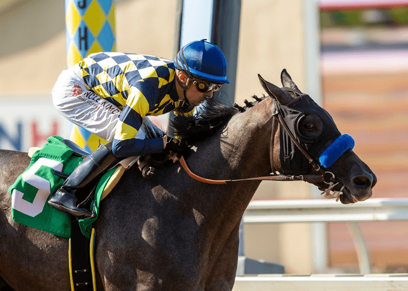 Santa Anita Saturday: Beholder Mile Analysis, Selections