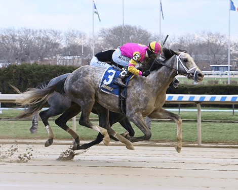 Tampa Bay Downs: Tampa Bay Derby Latest Kentucky Derby Prep