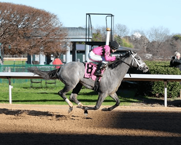 Aqueduct: Final New York Kentucky Derby Prep, Wood Analysis cover
