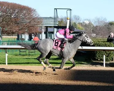 Aqueduct: Final New York Kentucky Derby Prep, Wood Analysis