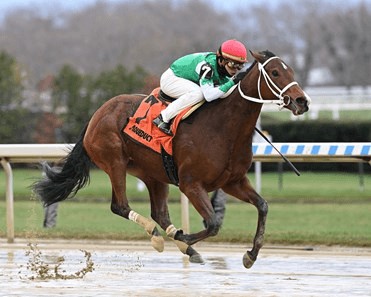 Belmont Park Sunday Stakes Analysis 5/14: Vagrancy