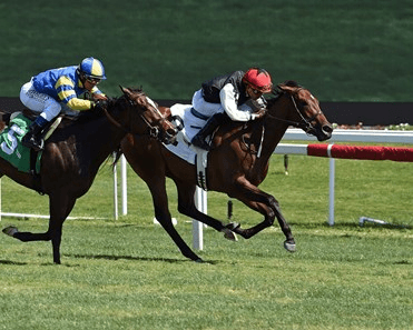 Belmont Park Saturday: Graded Turf Stakes Analysis cover