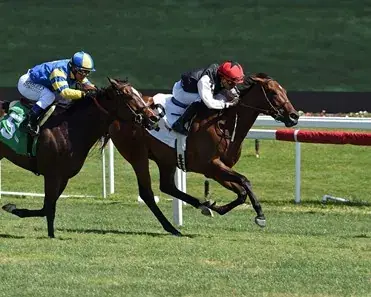 Belmont Park Saturday: Graded Turf Stakes Analysis