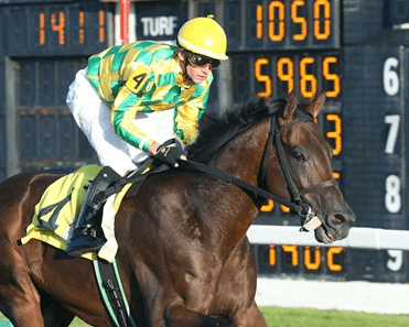 Churchill Downs Saturday: Louisville Lone Non-Preakness Stakes