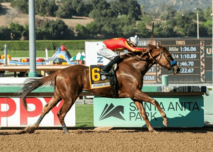 Santa Anita Memorial Day Stakes Racing Analysis, Selections