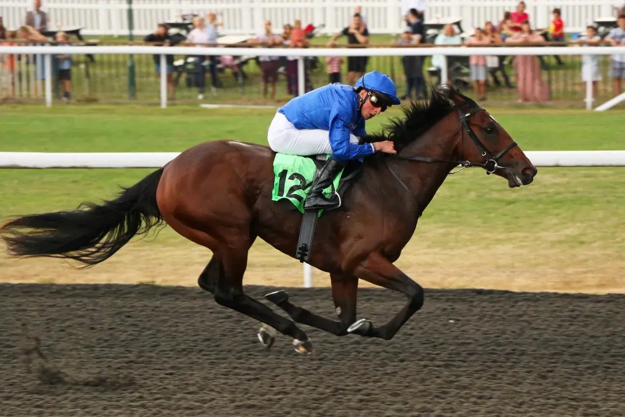 Belmont Park Saturday: Pennine Ridge Graded Stakes Analysis cover