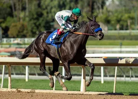 Santa Anita Saturday: Stakes Duo Analysis, Selections cover