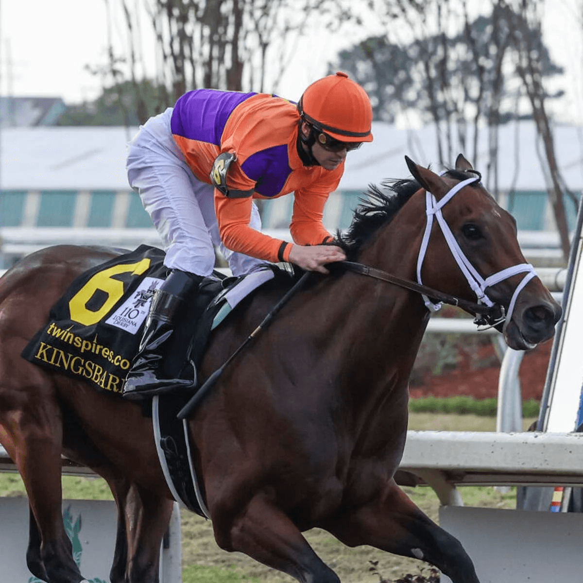 Monmouth Park: Graded Stakes Trio Selections, Analysis