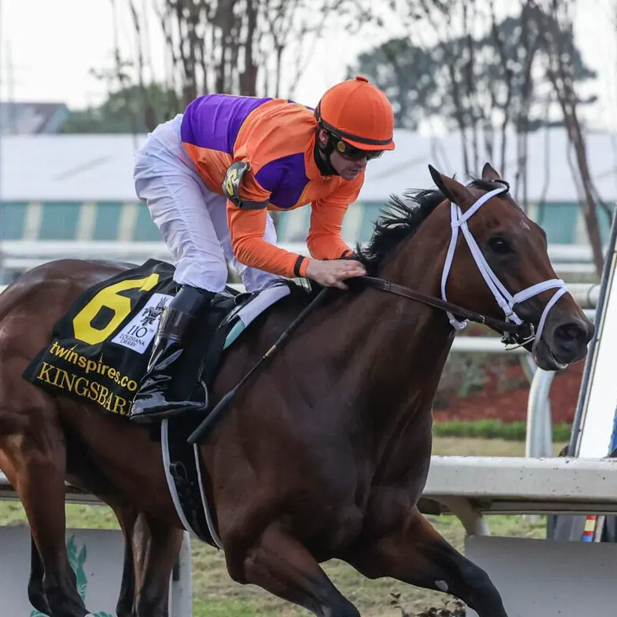 Monmouth Park: Graded Stakes Trio Selections, Analysis cover