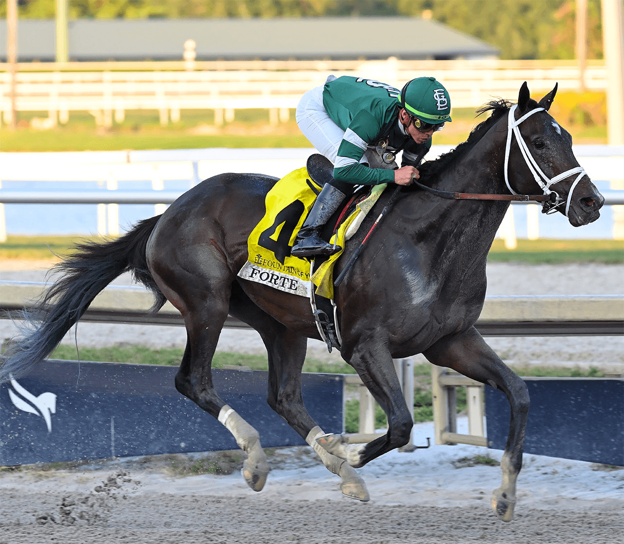 Belmont Park: Air Quality Threatening Belmont’s Big Day