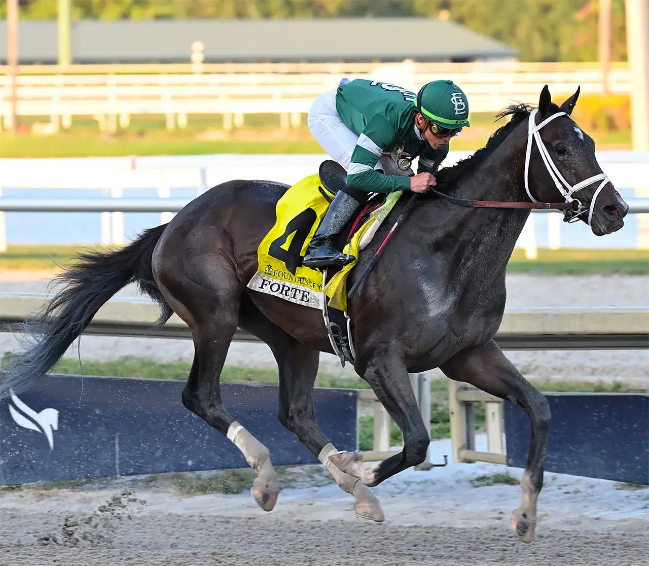 Belmont Park: Air Quality Threatening Belmont’s Big Day cover