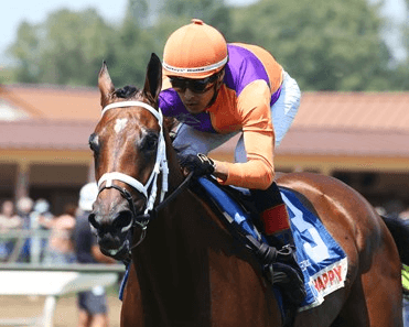 Canterbury Park: Wednesday Night Star Studded Turf Analysis