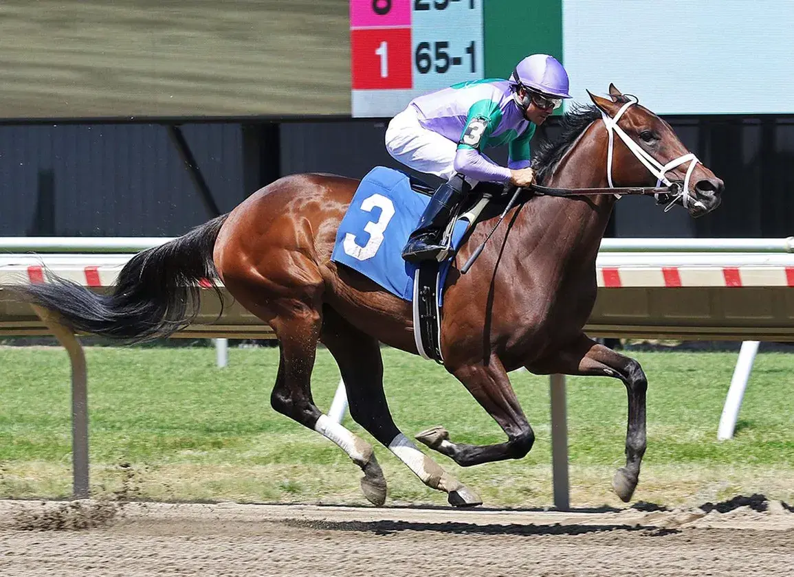 Belmont Park: Acorn, Gold Cup Highlight Belmont Stakes Eve cover