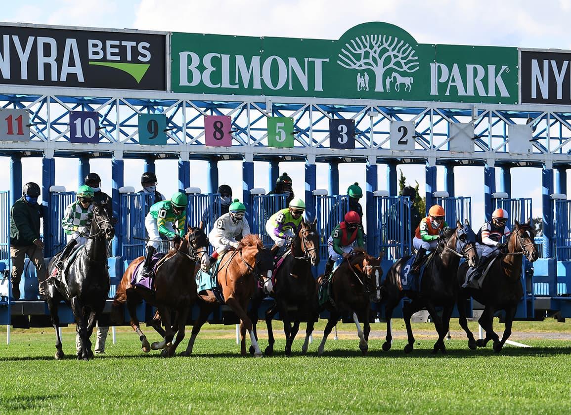 Belmont Park Picks