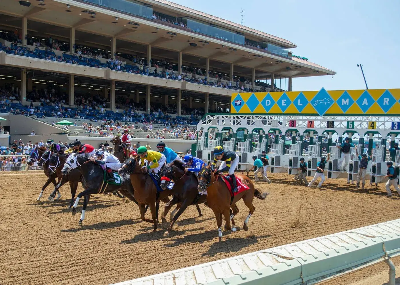 Del Mar: San Clemente Cards Features Robust Fields