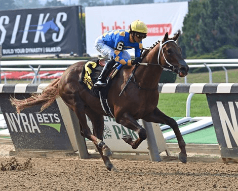 Saratoga Saturday: Asmussen Star Returns, 2 Graded Turf Events