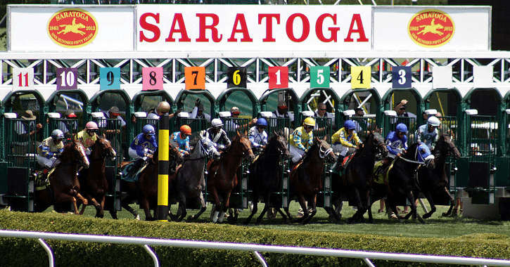 Saratoga Picks