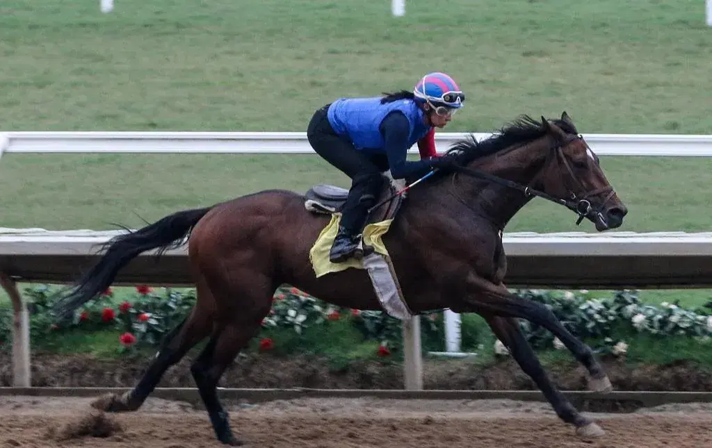 Del Mar Sunday: Grade 3 La Jolla Stakes Analysis