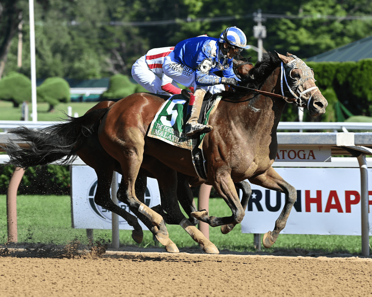 Saratoga Friday: Grade 1 Personal Ensign, Clairiere vs. Nest Showdown