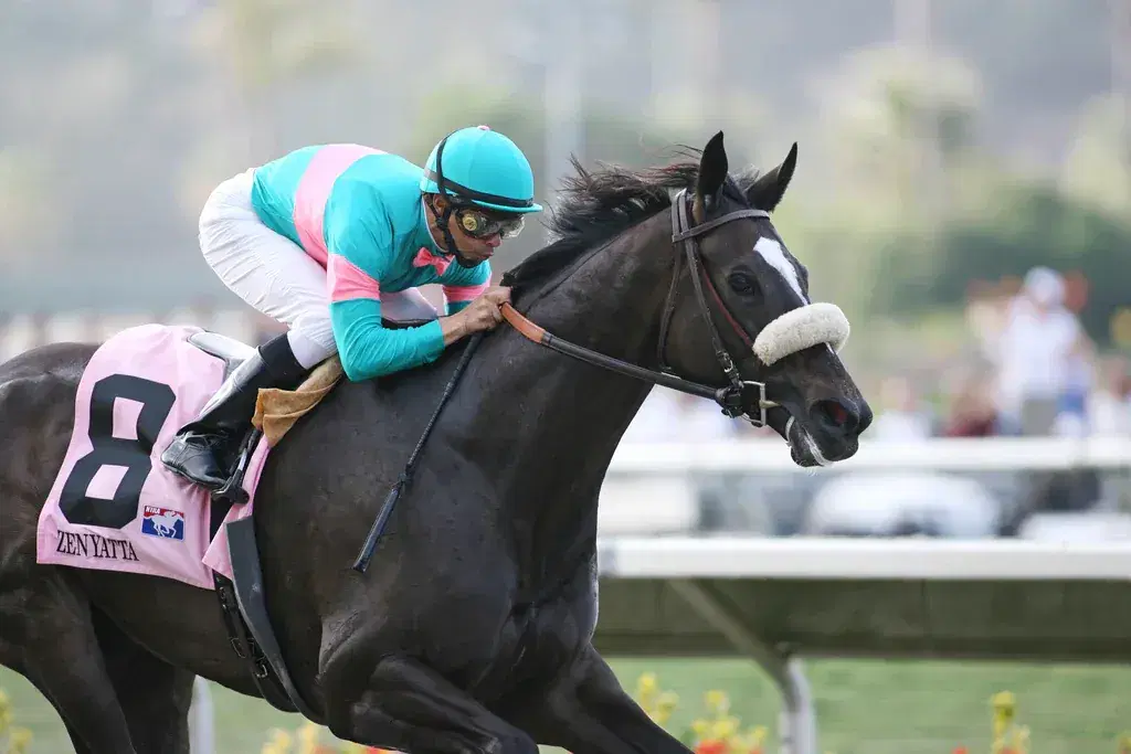 Del Mar Saturday: California Dreamin, Clement L. Hirsch Analysis