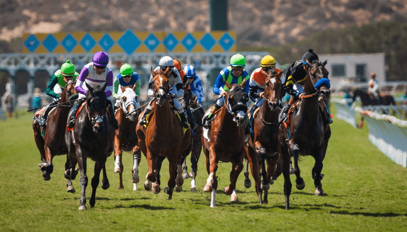 Del Mar Picks: Hollywood Turf Cup Stakes (11/28/2025)