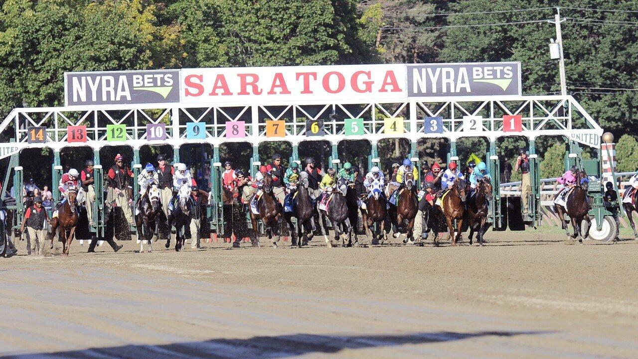 Saratoga Picks