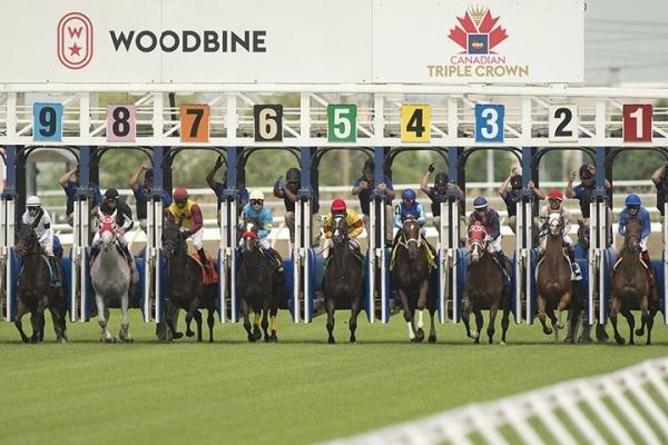 Woodbine Saturday: Breeders’ Cup Prep Analysis, Selections